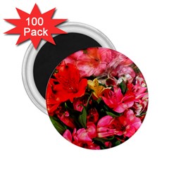 Lovely Lilies  2 25  Magnets (100 Pack)  by okhismakingart