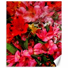 Lovely Lilies  Canvas 8  X 10  by okhismakingart