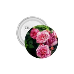 Summer Roses 1 75  Buttons by okhismakingart