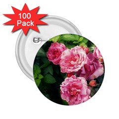 Summer Roses 2 25  Buttons (100 Pack)  by okhismakingart