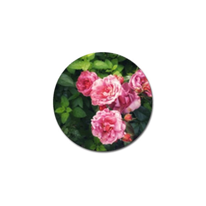 Summer Roses Golf Ball Marker