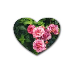 Summer Roses Heart Coaster (4 Pack) 