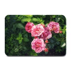 Summer Roses Plate Mats