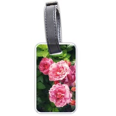 Summer Roses Luggage Tags (one Side)  by okhismakingart