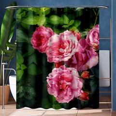 Summer Roses Shower Curtain 60  X 72  (medium)  by okhismakingart