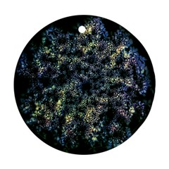 Queen Annes Lace in Blue and Yellow Ornament (Round)