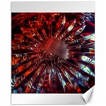 Crystal Daisy Canvas 11  x 14  10.95 x13.48  Canvas - 1