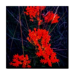 Neon Orange Butterfly Weed Tile Coasters by okhismakingart