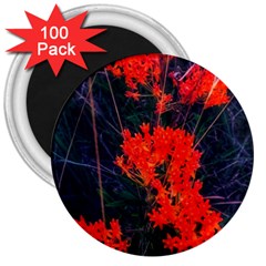 Neon Orange Butterfly Weed 3  Magnets (100 Pack) by okhismakingart