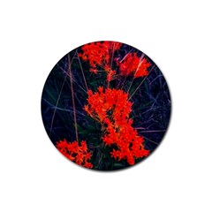 Neon Orange Butterfly Weed Rubber Coaster (round)  by okhismakingart