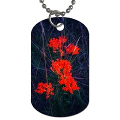 Neon Orange Butterfly Weed Dog Tag (one Side) by okhismakingart