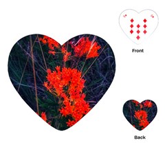 Neon Orange Butterfly Weed Playing Cards (heart) by okhismakingart