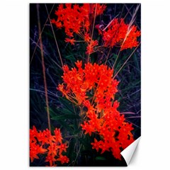 Neon Orange Butterfly Weed Canvas 12  X 18  by okhismakingart