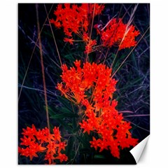 Neon Orange Butterfly Weed Canvas 16  X 20  by okhismakingart