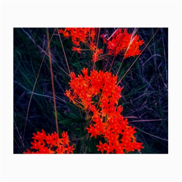 Neon Orange Butterfly Weed Small Glasses Cloth (2-Side)