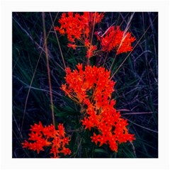 Neon Orange Butterfly Weed Medium Glasses Cloth by okhismakingart