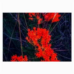 Neon Orange Butterfly Weed Large Glasses Cloth by okhismakingart