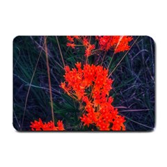 Neon Orange Butterfly Weed Small Doormat  by okhismakingart