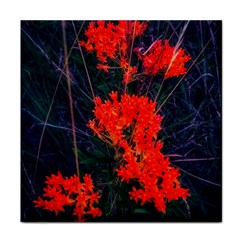 Neon Orange Butterfly Weed Face Towel by okhismakingart