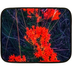 Neon Orange Butterfly Weed Fleece Blanket (mini) by okhismakingart