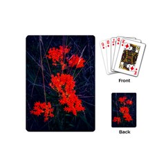 Neon Orange Butterfly Weed Playing Cards (mini) by okhismakingart