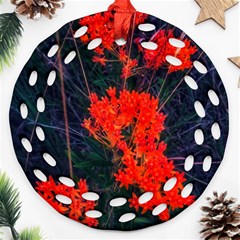 Neon Orange Butterfly Weed Ornament (round Filigree) by okhismakingart