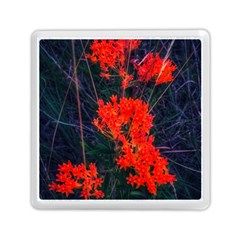 Neon Orange Butterfly Weed Memory Card Reader (square) by okhismakingart