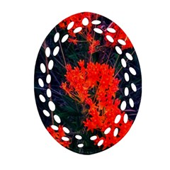 Neon Orange Butterfly Weed Ornament (oval Filigree) by okhismakingart