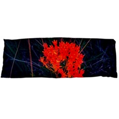 Neon Orange Butterfly Weed Body Pillow Case (dakimakura) by okhismakingart