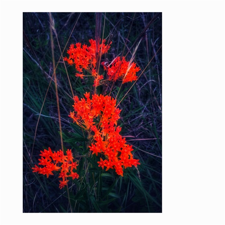 Neon Orange Butterfly Weed Small Garden Flag (Two Sides)