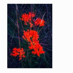 Neon Orange Butterfly Weed Large Garden Flag (two Sides) by okhismakingart