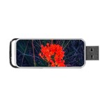 Neon Orange Butterfly Weed Portable USB Flash (Two Sides) Front