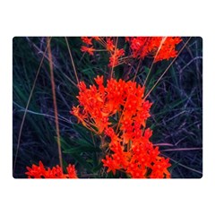 Neon Orange Butterfly Weed Double Sided Flano Blanket (mini)  by okhismakingart