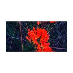 Neon Orange Butterfly Weed Yoga Headband by okhismakingart