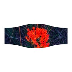 Neon Orange Butterfly Weed Stretchable Headband