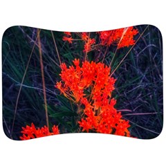 Neon Orange Butterfly Weed Velour Seat Head Rest Cushion by okhismakingart