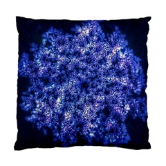 Queen Annes Lace In Blue Standard Cushion Case (two Sides) by okhismakingart