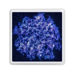 Queen Annes Lace In Blue Memory Card Reader (square) by okhismakingart