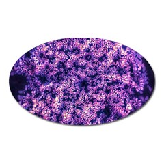 Queen Annes Lace In Purple And White Oval Magnet by okhismakingart