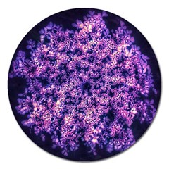 Queen Annes Lace In Purple And White Magnet 5  (round) by okhismakingart