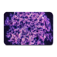 Queen Annes Lace In Purple And White Plate Mats by okhismakingart