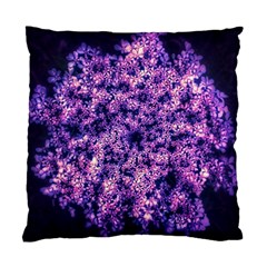 Queen Annes Lace In Purple And White Standard Cushion Case (one Side) by okhismakingart