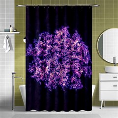 Queen Annes Lace In Purple And White Shower Curtain 48  X 72  (small)  by okhismakingart