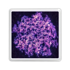 Queen Annes Lace In Purple And White Memory Card Reader (square) by okhismakingart