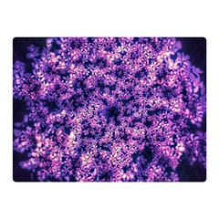 Queen Annes Lace In Purple And White Double Sided Flano Blanket (mini)  by okhismakingart