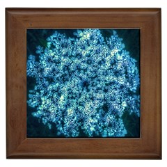 Queen Annes Lace In Neon Blue Framed Tiles by okhismakingart