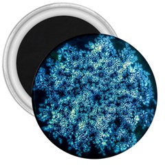 Queen Annes Lace In Neon Blue 3  Magnets by okhismakingart