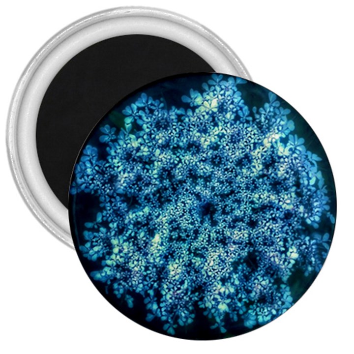 Queen Annes Lace in Neon Blue 3  Magnets