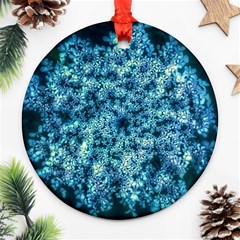 Queen Annes Lace In Neon Blue Ornament (round) by okhismakingart