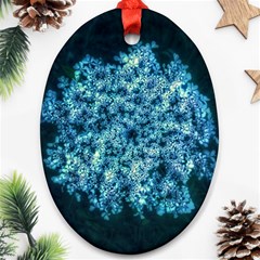 Queen Annes Lace In Neon Blue Ornament (oval) by okhismakingart